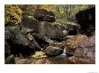 Middle Emerald Pool Stream With Velvet Ash Leaves, Zion National Park, Utah, Usa by Jamie & Judy Wild Limited Edition Print