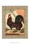 Roosters V by Cassell's Poultry Book Limited Edition Print