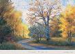 Autumn Road by Greg Wilhelmi Limited Edition Pricing Art Print