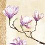 Magnolias On Pink by Louise Anglicas Limited Edition Print
