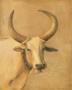Tan Cow by Klaus Gohlke Limited Edition Pricing Art Print