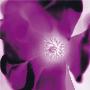 Purple Flower by Prades Fabregat Limited Edition Pricing Art Print