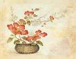 Cinnabar Florals by Janet Brignola-Tava Limited Edition Pricing Art Print