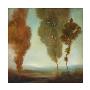 Various Trees Ii by Simon Addyman Limited Edition Pricing Art Print