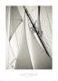 Haut Perche by Guillaume Plisson Limited Edition Print