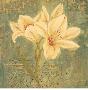 Ornamental Lily by Laurel Lehman Limited Edition Print