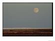 A Full Moon Rises Over Wapusk National Park by Norbert Rosing Limited Edition Print
