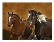 Ready To Run by Robert Dawson Limited Edition Print