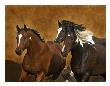 Ready To Run by Robert Dawson Limited Edition Pricing Art Print