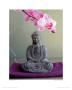 Meditation Sous L'orchydee by Amelie Vuillon Limited Edition Print
