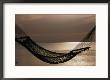 Hammock At Sunset, Western Division, Fiji by Phil Weymouth Limited Edition Print
