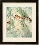 Aroma Of Early Spring by Minrong Wu Limited Edition Print