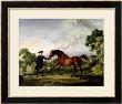 The Duke Of Ancaster's Bay Stallion Blank, Held By A Groom, Circa 1762-5 by George Stubbs Limited Edition Print
