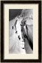 Climbers Ascending Mont Blanc, Circa 1860 by Bisson Freres Studio Limited Edition Print