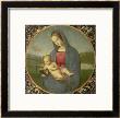 The Madonna Conestabile, 1502/03 by Raphael Limited Edition Print
