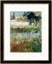 Garden In Bloom, Arles, 1888 by Vincent Van Gogh Limited Edition Print