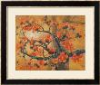 Kapok by Chenwen Chang Limited Edition Pricing Art Print
