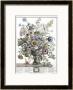 November by H. Fletcher Limited Edition Pricing Art Print