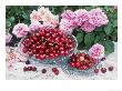 Two Glass Bowls With Red Cherry Old Rose Bush Rosa,Prunus by Linda Burgess Limited Edition Pricing Art Print