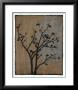 Branch In Silhouette I by Jennifer Goldberger Limited Edition Print