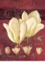 Tulip Blooms I by Fabrice De Villeneuve Limited Edition Print