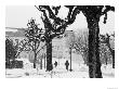 Winter, Mirabellgarten, Salzburg, Austria by Walter Bibikow Limited Edition Print