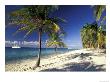 Tropical Beach On Isla De La Juventud, Cuba by Gavriel Jecan Limited Edition Pricing Art Print