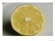 Half Of A Tart Lemon by Taylor S. Kennedy Limited Edition Print