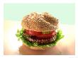 Hamburger by Atu Studios Limited Edition Print