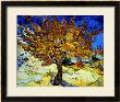 Mulberry Tree, 1889 by Vincent Van Gogh Limited Edition Pricing Art Print