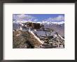 Potala Palace, Lhasa, Tibet, China by Larry Stanley Limited Edition Print