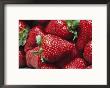 Close View Of Ripe Strawberries by Marc Moritsch Limited Edition Print