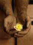 Man Holding Yellow Rose by Marianne Mccoy Limited Edition Print