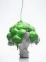 Broccoli Stem With Green by Liam Norris Limited Edition Print