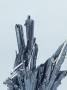 Stibnite Crystals, The Main Ore Of Antimony, Bolivia by Dane Johnson Limited Edition Print