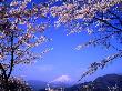 Mt. Fuji by Shusei Kishida Limited Edition Print