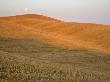 Italy, Tuscany, Full Moon Over Harvested Fields by Fotofeeling Limited Edition Print