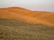 Italy, Tuscany, Full Moon Over Harvested Fields by Fotofeeling Limited Edition Pricing Art Print