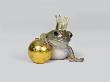 The Frog Prince And Gold Ball, Studio Shot by Paul Hudson Limited Edition Print