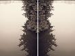 Waterways I Diptych by Nicola Dill Limited Edition Print