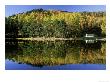 Loch An Eilein In Autumn, Larch & Scots Pine & Reflections, Cairngorms National Park, Scotland by Mark Hamblin Limited Edition Print