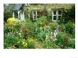 Cottage Garden With, Colourful Flower Beds Direlton, Scotland, Uk by Mark Hamblin Limited Edition Pricing Art Print