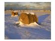 Field Of Hay Rolls In Winter, Michigan, Usa by Willard Clay Limited Edition Print