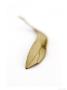 Olive Leaf, Dried Leaf by Geoff Kidd Limited Edition Pricing Art Print