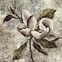 Silver Magnolia I by Laurel Lehman Limited Edition Print