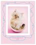 Purrfect Fit by Rachael Hale Limited Edition Pricing Art Print