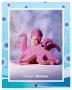 Baby Octopus by Tom Arma Limited Edition Print