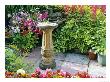 Small Garden And Patio With Sundial Feature by Geoff Kidd Limited Edition Print