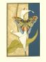 Nouveau Butterflies Ii by Jennifer Goldberger Limited Edition Pricing Art Print