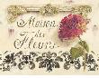Maison Des Fleurs by Kathryn White Limited Edition Print